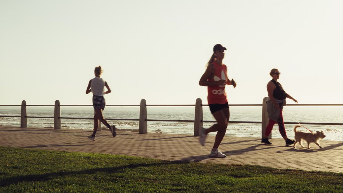 Full body of group women in activewear running and woman with dog walking on embankment and admiring sunset sky on resort